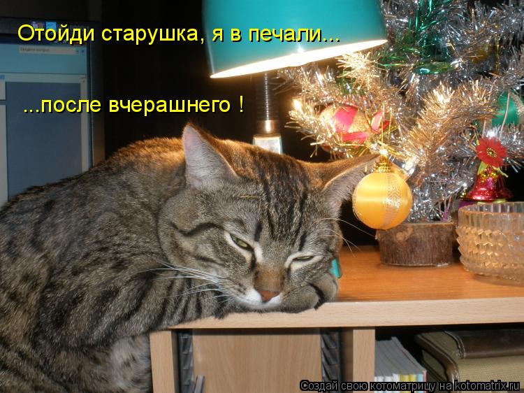 Котоматрица: Отойди старушка, я в печали... ...после вчерашнего !
