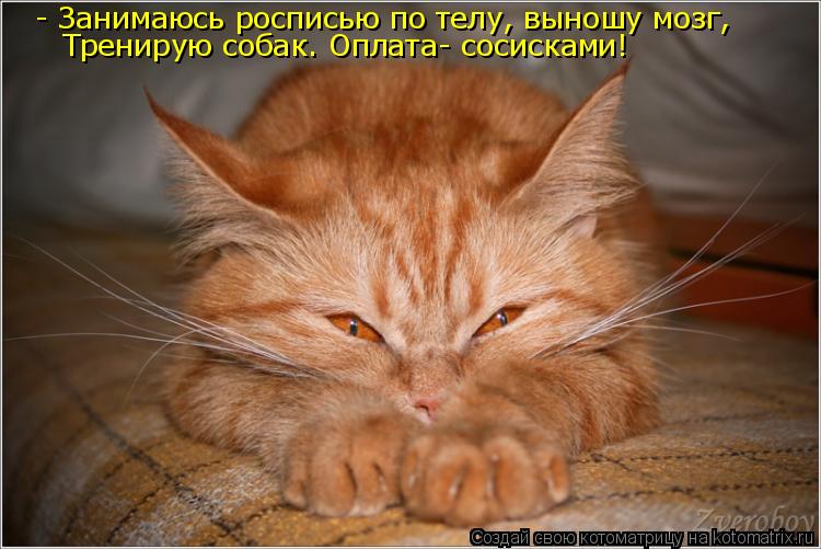 Котоматрица: - Занимаюсь росписью по телу, выношу мозг,  Тренирую собак. Оплата- сосисками!