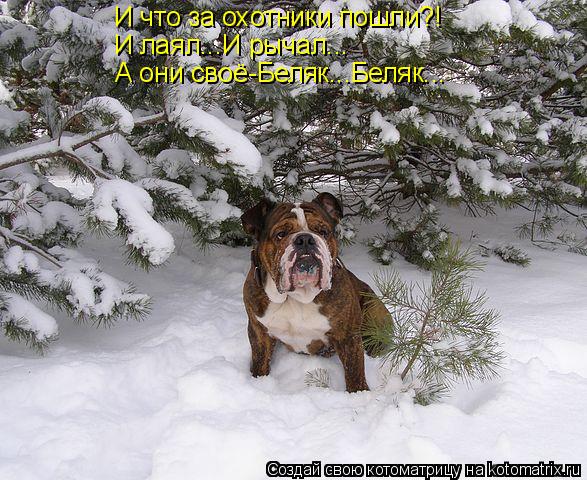Котоматрица: И что за охотники пошли?! И лаял...И рычал... А они своё-Беляк...Беляк...