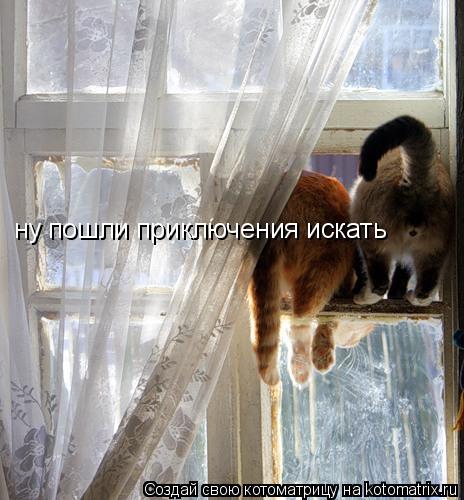Котоматрица: ну пошли приключения искать