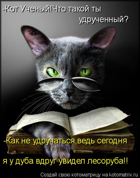 Котоматрица: -Кот Ученый!Что такой ты  удрученный? -Как не удручаться,ведь сегодня я у дуба вдруг увидел лесоруба!!