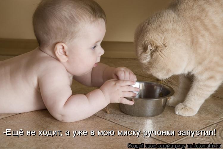 Котоматрица: -Ещё не ходит, а уже в мою миску ручонки запустил!
