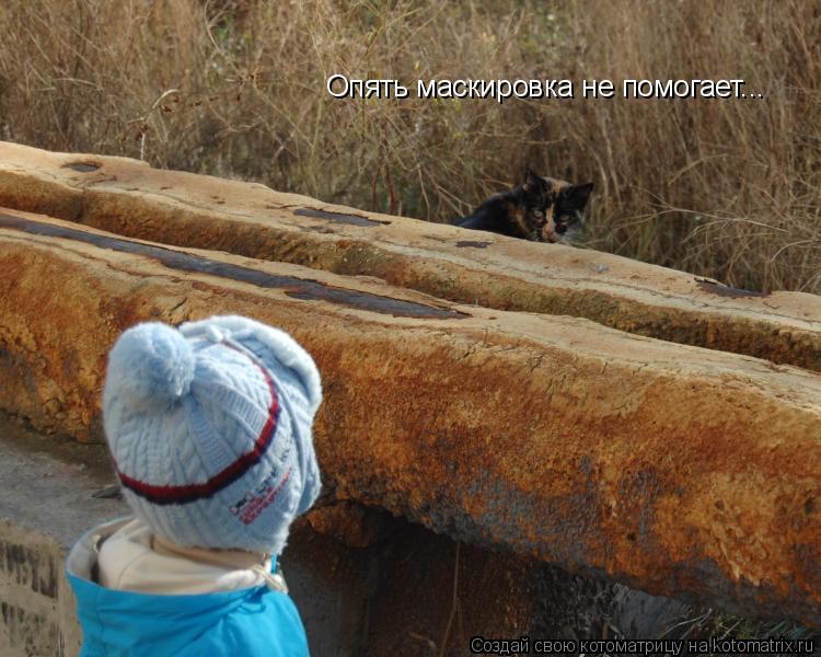 Котоматрица: Опять маскировка не помогает...