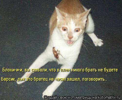 Котоматрица: Блохи-и-и, вы сказали, что в плен никого брать не будете Барсик, дык это братец на часик зашел, поговорить..