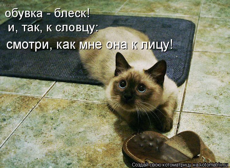 обувка - блеск! и, так, к словцу: смотри, как мне она к лицу!... Котоматрица: обувка - блеск! и, так, к словцу: смотри, как мне она к лицу!