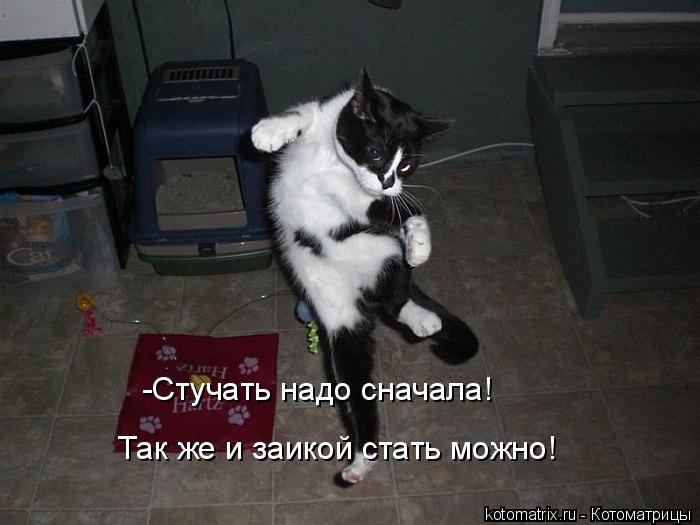 -Стучать надо сначала! Так же и заикой стать можно!... Котоматрица: -Стучать надо сначала! Так же и заикой стать можно!