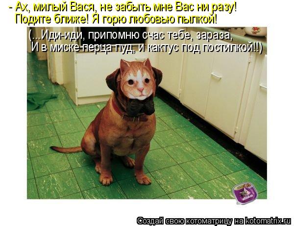- Ах, милый Вася, не забыть мне Вас ни разу! Подите ближе! Я горю любовью пылкой! (...Иди-иди, припом... Котоматрица: - Ах, милый Вася, не забыть мне Вас ни разу! Подите ближе! Я горю любовью пылкой! (...Иди-иди, припомню счас тебе, зараза, И в миске перца пуд, и ка