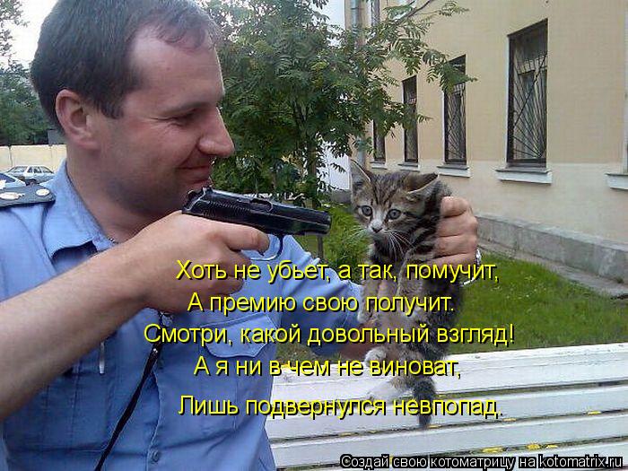 Хоть не убьет, а так, помучит, А премию свою получит. Смотри, какой довольный взгляд! А я ни в чем не... Котоматрица: Хоть не убьет, а так, помучит, А премию свою получит. Смотри, какой довольный взгляд! А я ни в чем не виноват, Лишь подвернулся невпопад.