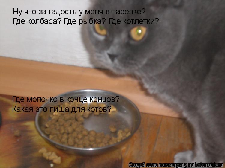 Ну что за гадость у меня в тарелке? Где колбаса? Где рыбка? Где котлетки? Где молочко в конце концов?... Котоматрица: Ну что за гадость у меня в тарелке? Где колбаса? Где рыбка? Где котлетки? Где молочко в конце концов? Какая это пища для котов?