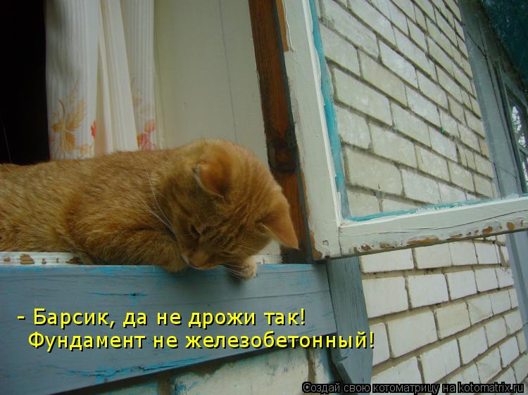 - Барсик, да не дрожи так! Фундамент не железобетонный!... Котоматрица: - Барсик, да не дрожи так! Фундамент не железобетонный!