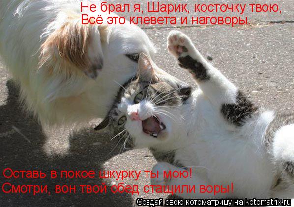 Не брал я, Шарик, косточку твою, Всё это клевета и наговоры. Оставь в покое шкурку ты мою! Смотри, во... Котоматрица: Не брал я, Шарик, косточку твою, Всё это клевета и наговоры. Оставь в покое шкурку ты мою! Смотри, вон твой обед стащили воры!