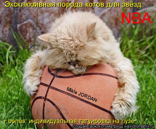 Эксклюзивная порода котов для звёзд NBA Mikle JORDAN + bonus: индивидуальная татуировка на пузе... Котоматрица: Эксклюзивная порода котов для звёзд NBA Mikle JORDAN + bonus: индивидуальная татуировка на пузе