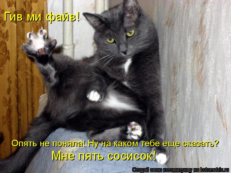 Гив ми файв! Опять не поняла! Ну на каком тебе еще сказать? Мне пять сосисок!... Котоматрица: Гив ми файв! Опять не поняла! Ну на каком тебе еще сказать? Мне пять сосисок!