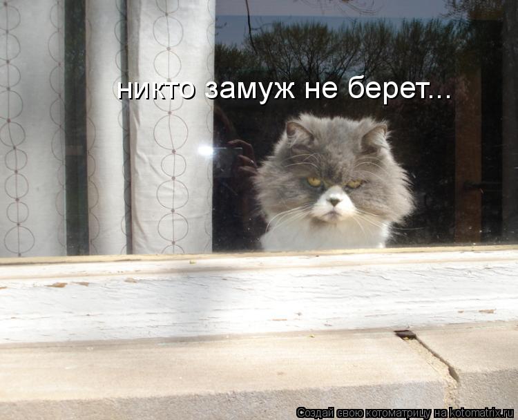 никто замуж не берет...... Котоматрица: никто замуж не берет...