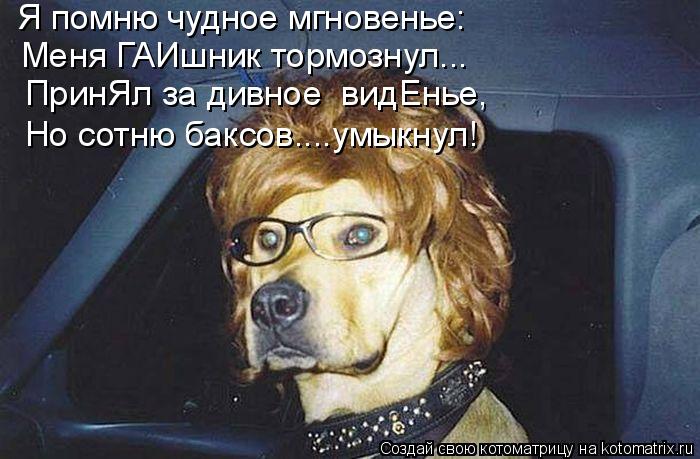 Я помню чудное мгновенье: Меня ГАИшник тормознул... ПринЯл за дивное видЕнье, Но сотню баксов....умы... Котоматрица: Я помню чудное мгновенье: Меня ГАИшник тормознул... ПринЯл за дивное видЕнье, Но сотню баксов....умыкнул!