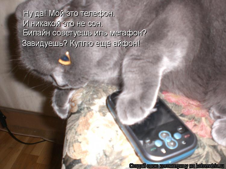 Ну да! Мой это телефон. И никакой это не сон. Билайн советуешь иль мегафон? Завидуешь? Куплю ещё айфо... Котоматрица: Ну да! Мой это телефон. И никакой это не сон. Билайн советуешь иль мегафон? Завидуешь? Куплю ещё айфон!