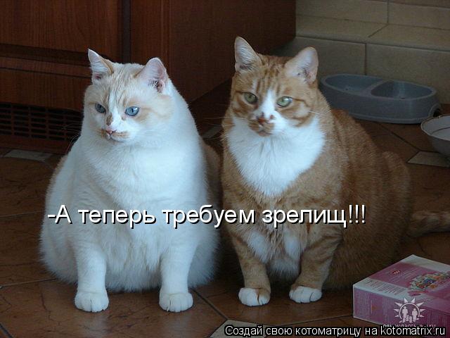 -А теперь требуем зрелищ!!!... Котоматрица: -А теперь требуем зрелищ!!!