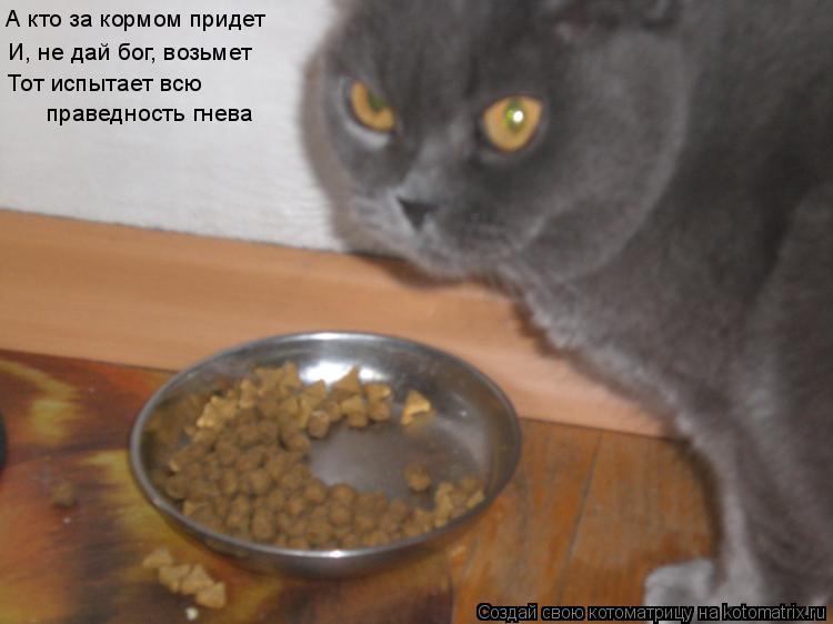 А кто за кормом придет И, не дай бог, возьмет Тот испытает всю праведность гнева... Котоматрица: А кто за кормом придет И, не дай бог, возьмет Тот испытает всю праведность гнева