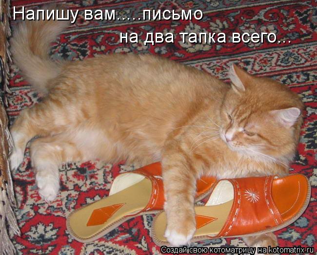 Напишу вам.....письмо на два тапка всего...... Котоматрица: Напишу вам.....письмо на два тапка всего...