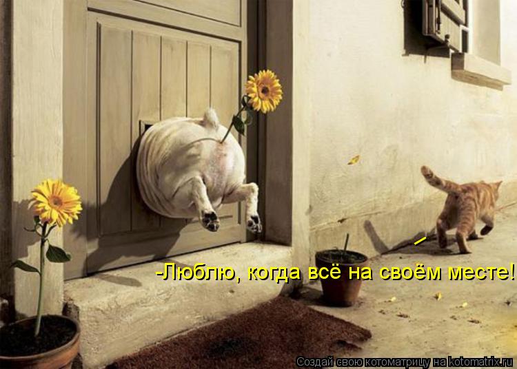 -Люблю, когда всё на своём месте! _... Котоматрица: -Люблю, когда всё на своём месте! _