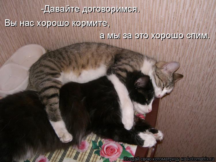 -Давайте договоримся. Вы нас хорошо кормите, а мы за это хорошо спим.... Котоматрица: -Давайте договоримся. Вы нас хорошо кормите, а мы за это хорошо спим.