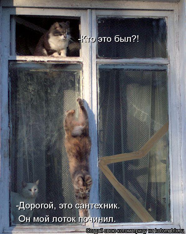 Котоматрица: -Кто это был?! -Дорогой, это сантехник. Он мой лоток починил.