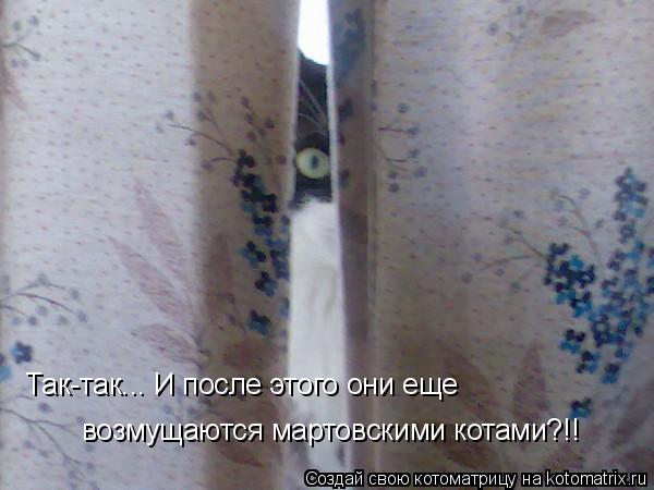 Так-так... И после этого они еще возмущаются мартовскими котами?!!... Котоматрица: Так-так... И после этого они еще возмущаются мартовскими котами?!!