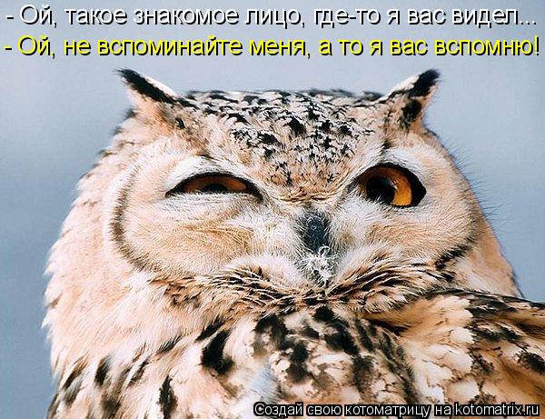 Котоматрица: - Ой, такое знакомое лицо, где-то я вас видел... - Ой, не вспоминайте меня, а то я вас вспомню!