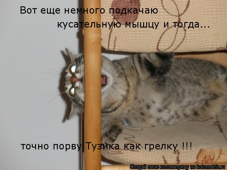 Вот еще немного подкачаю кусательную мышцу и тогда... точно порву Тузика как грелку !!!... Котоматрица: Вот еще немного подкачаю кусательную мышцу и тогда... точно порву Тузика как грелку !!!