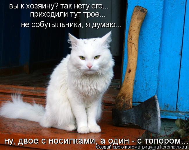 вы к хозяину? так нету его... приходили тут трое... не собутыльники, я думаю... ну, двое с носилками,... Котоматрица: вы к хозяину? так нету его... приходили тут трое... не собутыльники, я думаю... ну, двое с носилками, а один - с топором...
