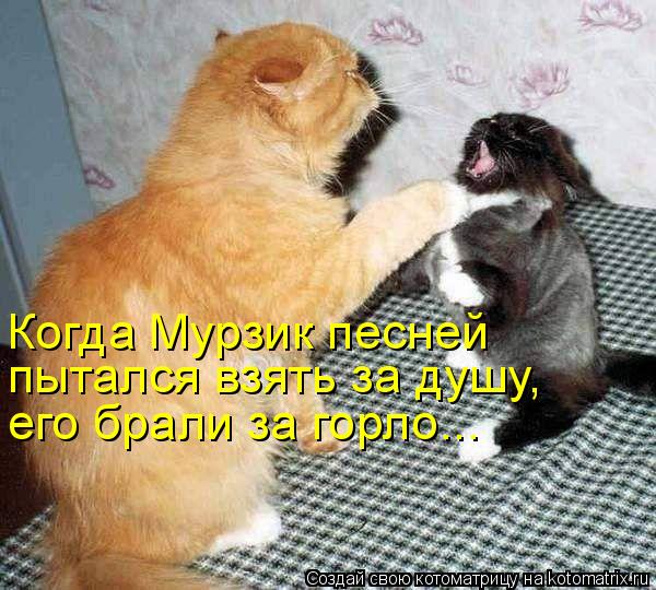 Когда Мурзик песней пытался взять за душу, его брали за горло...... Котоматрица: Когда Мурзик песней пытался взять за душу, его брали за горло...