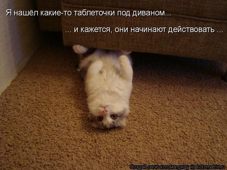 Я нашёл какие-то таблеточки под диваном... и кажется они начинают действовать ... Я нашёл какие-то т... Котоматрица: Я нашёл какие-то таблеточки под диваном... и кажется они начинают действовать ... Я нашёл какие-то таблеточки под диваном... ... и кажется, они
