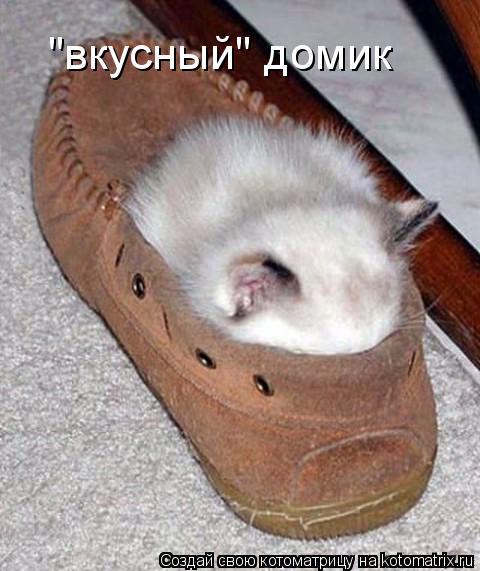 "вкусный" домик... Котоматрица: "вкусный" домик