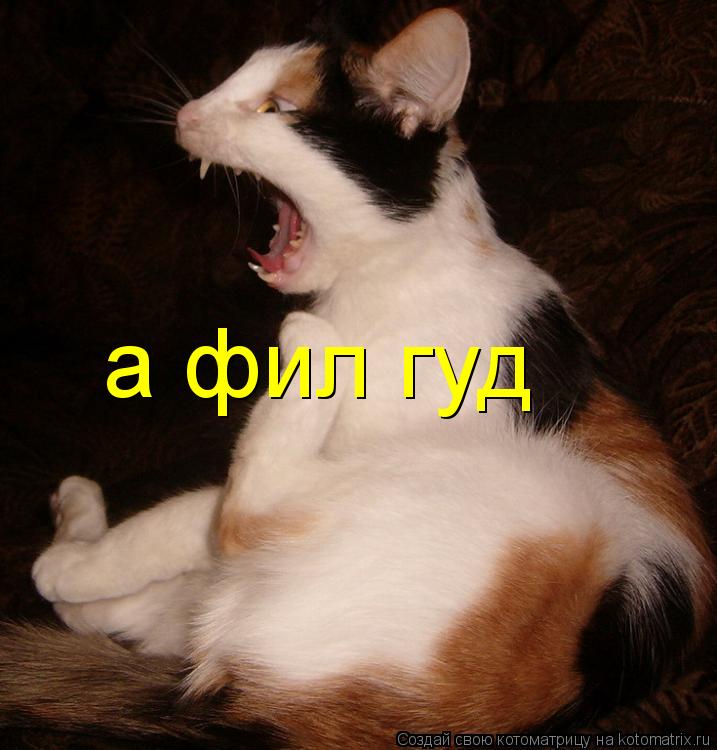 а фил гуд... Котоматрица: а фил гуд