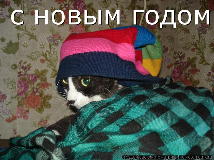 с новым годом... Котоматрица: с новым годом