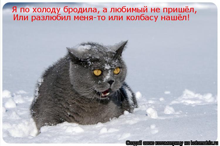Я по холоду бродила, а любимый не пришёл, Или разлюбил меня-то или колбасу нашёл!... Котоматрица: Я по холоду бродила, а любимый не пришёл, Или разлюбил меня-то или колбасу нашёл!