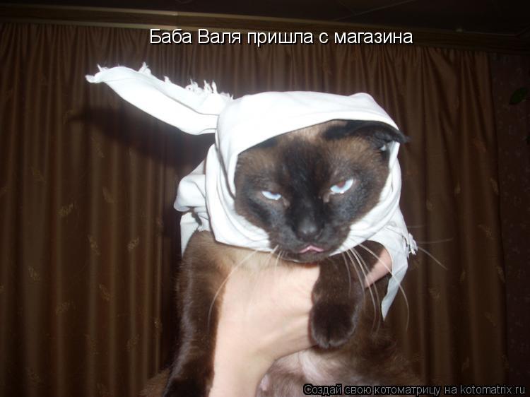 Баба Валя пришла с магазина... Котоматрица: Баба Валя пришла с магазина
