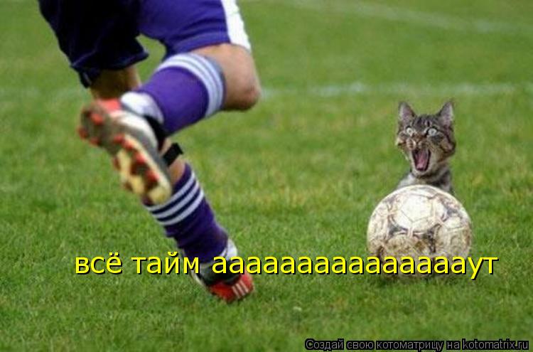всё тайм аааааааааааааааут... Котоматрица: всё тайм аааааааааааааааут