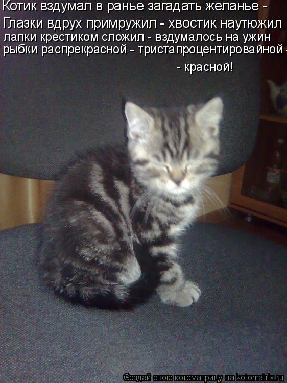 Котик вздумал в ранье загадать желанье - Глазки вдрух примружил - хвостик наутюжил лапки крестиком с... Котоматрица: Котик вздумал в ранье загадать желанье - Глазки вдрух примружил - хвостик наутюжил лапки крестиком сложил - вздумалось на ужин рыбки распре
