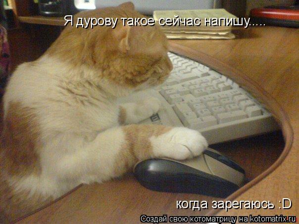 Я дурову такое сейчас напишу..... когда зарегаюсь :D... Котоматрица: Я дурову такое сейчас напишу..... когда зарегаюсь :D