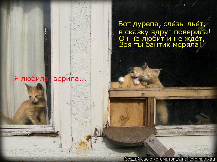 Вот дурепа, слёзы льёт, в сказку вдруг поверила! Он не любит и не ждёт, Зря ты бантик меряла! Я люб... Котоматрица: Вот дурепа, слёзы льёт, в сказку вдруг поверила! Он не любит и не ждёт, Зря ты бантик меряла! Я любила, верила...