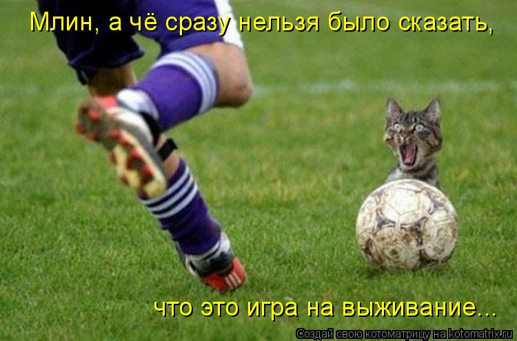 Млин, а чё сразу нельзя было сказать, что это игра на выживание...... Котоматрица: Млин, а чё сразу нельзя было сказать, что это игра на выживание...