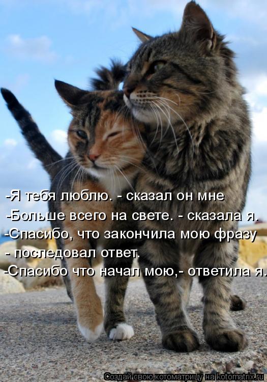 -Больше всего на свете. - сказала я. -Спасибо, что закончила мою фразу - последовал ответ. -Спасибо ч... Котоматрица: -Больше всего на свете. - сказала я. -Спасибо, что закончила мою фразу - последовал ответ. -Спасибо что начал мою,- ответила я. -Я тебя люблю. - ск