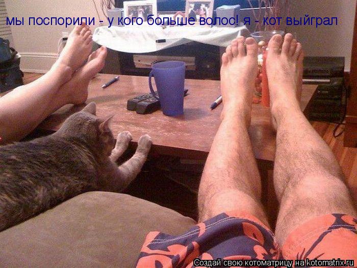 мы поспорили - у кого больше волос! я - кот выйграл... Котоматрица: мы поспорили - у кого больше волос! я - кот выйграл