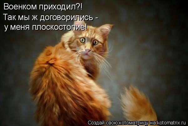 Военком приходил?! Так мы ж договорились - у меня плоскостопие!... Котоматрица: Военком приходил?! Так мы ж договорились - у меня плоскостопие!