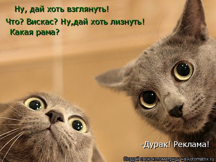 Ну, дай хоть взглянуть! Что? Вискас? Ну,дай хоть лизнуть! Какая рама? -Дурак! Реклама!... Котоматрица: Ну, дай хоть взглянуть! Что? Вискас? Ну,дай хоть лизнуть! Какая рама? -Дурак! Реклама!