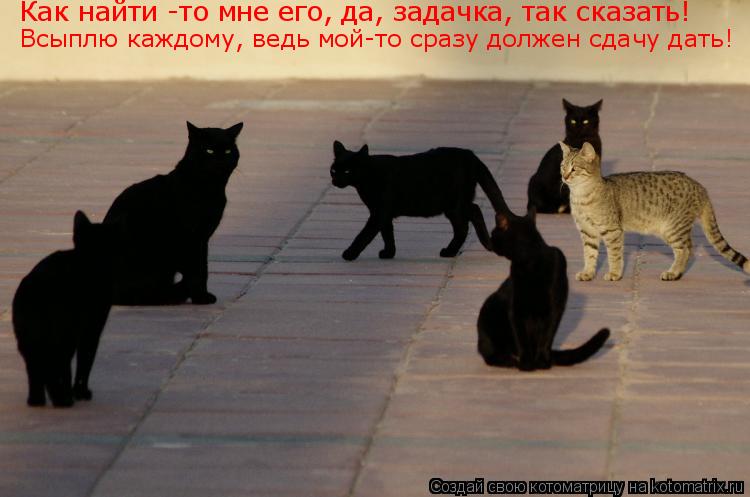 Как найти -то мне его, да, задачка, так сказать! Всыплю каждому, ведь мой-то сразу должен сдачу дать!... Котоматрица: Как найти -то мне его, да, задачка, так сказать! Всыплю каждому, ведь мой-то сразу должен сдачу дать!