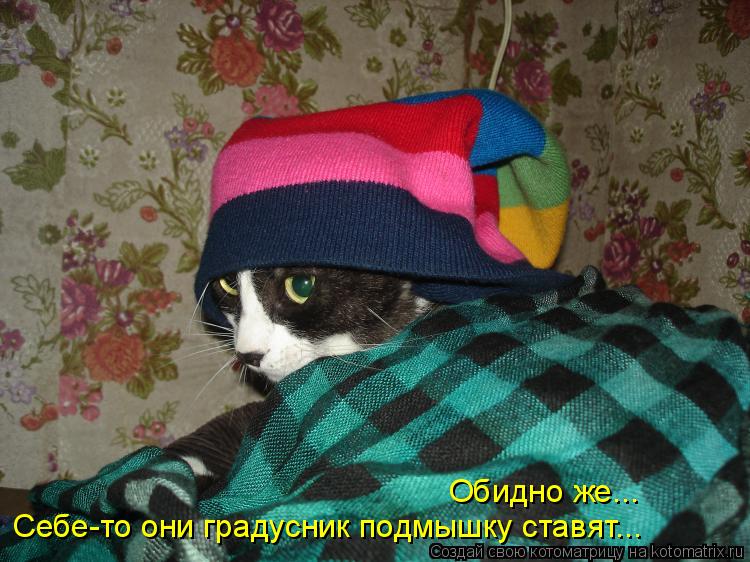 Обидно же... Себе-то они градусник подмышку ставят...... Котоматрица: Обидно же... Себе-то они градусник подмышку ставят...