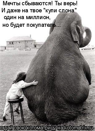 И даже на твое "купи слона" Мечты сбываются! Ты верь! но будет покупатель... один на миллион,... Котоматрица: И даже на твое "купи слона" Мечты сбываются! Ты верь! но будет покупатель... один на миллион,