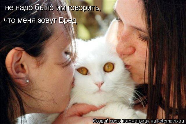 не надо было им говорить, что меня зовут Бред... Котоматрица: не надо было им говорить, что меня зовут Бред